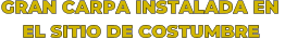 GRAN CARPA INSTALADA EN      EL SITIO DE COSTUMBRE