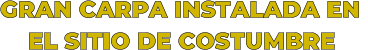 GRAN CARPA INSTALADA EN      EL SITIO DE COSTUMBRE